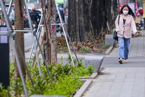 Cận cảnh hàng ghế đá dưới cây hoa sữa cổ thụ trên đường đẹp nhất Hà Nội