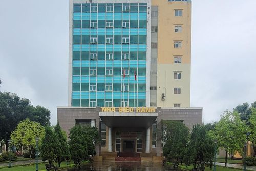 Sinh viên tốt nghiệp ngành sư phạm chất lượng cao ở Thanh Hóa bị bỏ rơi?