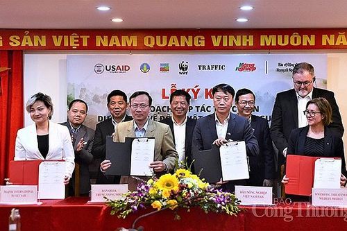 Phát triển mạng lưới nhà báo điều tra, đưa tin chống buôn bán động vật hoang dã trái phép