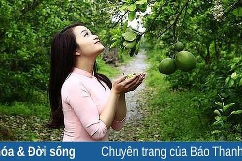 Đêm nay hoa bưởi dậy thì...