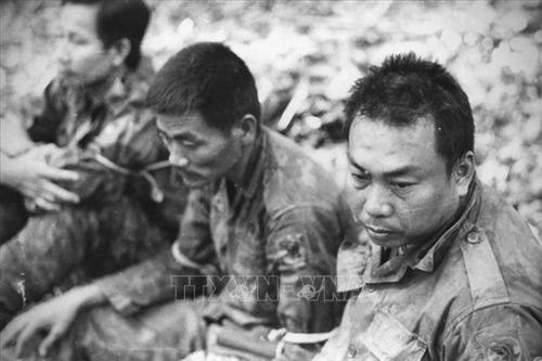 Lịch sử Việt Nam (Từ tiền sử đến năm 2007) (Kỳ 52)