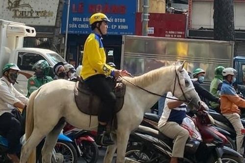 Bị phạt hành chính vì… cưỡi ngựa nghênh ngang trên phố