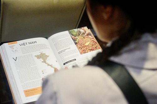 Việt Nam đang ở đâu trên bản đồ cà phê thế giới?