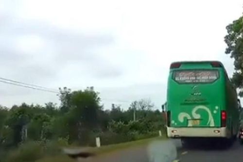 Buộc thôi việc tài xế xe khách vượt ẩu, chèn người đi đường té ngã