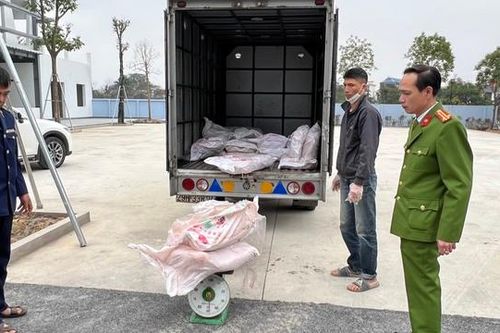 700kg nầm lợn không rõ nguồn gốc, bột ngọt giả mạo ngang nhiên đưa đi tiêu thụ