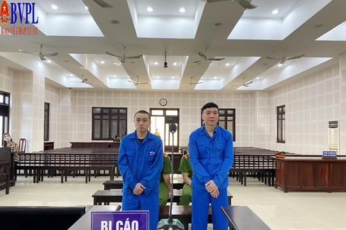 Mua bán ma túy kiếm lời, hai thanh niên lãnh án