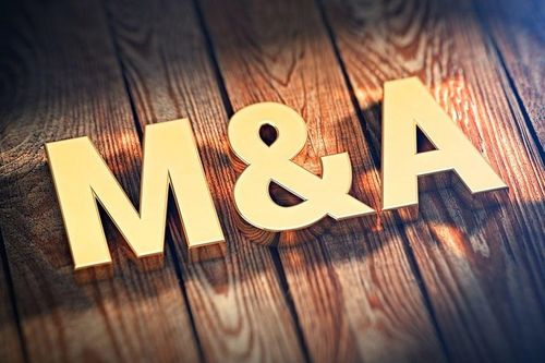 Cẩn trọng 'theo sóng M&A'