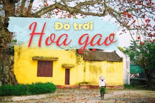 Truyện ngắn 'Đỏ trời hoa gạo'