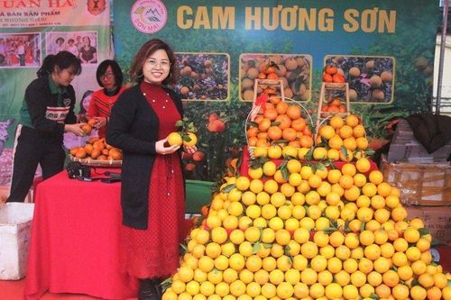 Cầu nối đưa nông sản Hà Tĩnh vươn xa: Lễ hội Cam - kết nối thương hiệu nông sản (Bài 1)