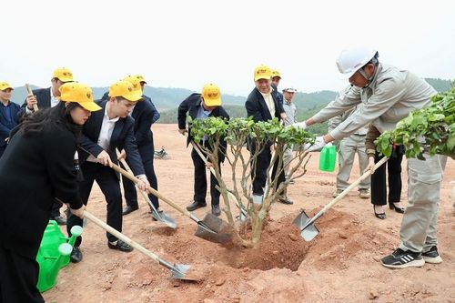 T&T Group sẽ trồng hơn 25.000 cây xanh tại quê hương đất Tổ