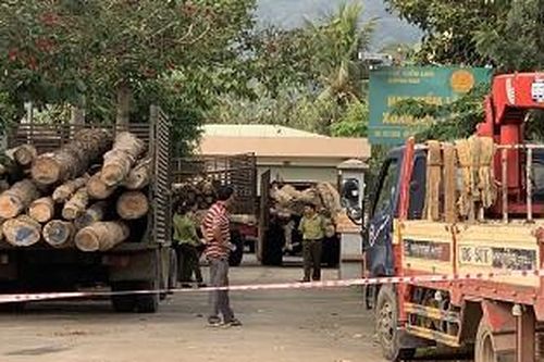 Xác định nghi phạm thứ 5 bỏ trốn khỏi hiện trường vụ phá rừng ở Đồng Nai