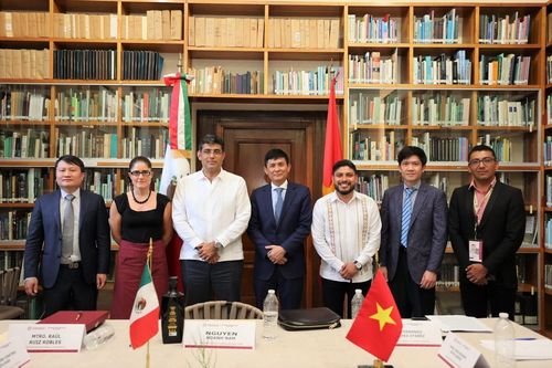 Việt Nam tìm kiếm cơ hội hợp tác với các địa phương Mexico