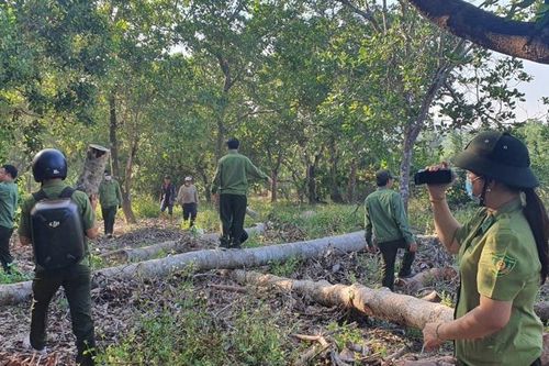 Đồng Nai: Giao khoán đất trồng rừng, có được cấp quyền sử dụng đất?
