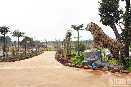 Quảng Trị tạm dừng thực hiện thủ tục cấp quyết định chủ trương đầu tư cho dự án có sai phạm