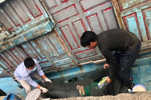 Công an Đà Nẵng tìm thân nhân một thi thể nữ giới nổi trên biển