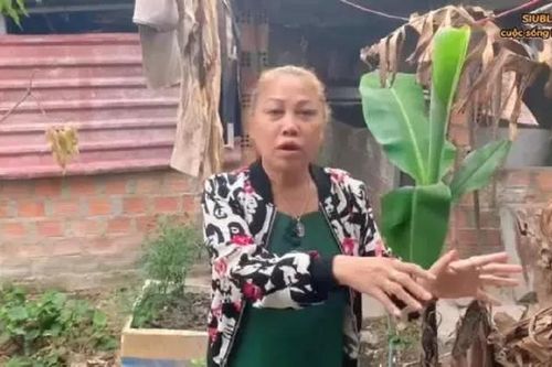 Từng nổi tiếng một thời, Siu Black giờ vất vả nuôi heo, làm nước mắm