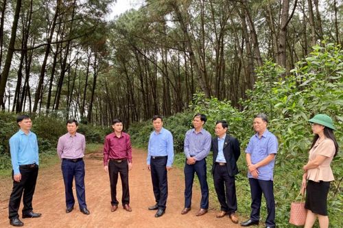 Bảo đảm hiệu quả thiết thực các 'công xưởng' của HĐND