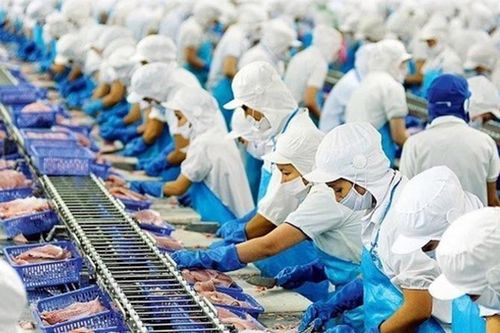 Doanh thu của 2 doanh nghiệp lớn ngành thủy sản giảm sút mạnh