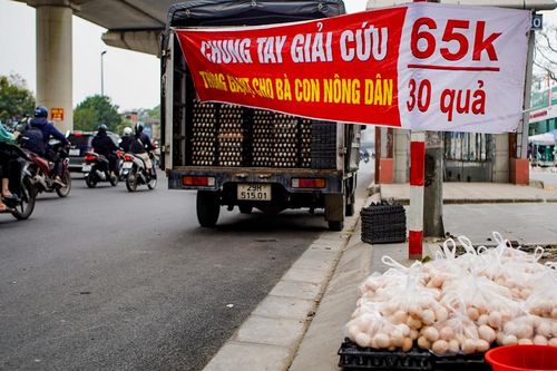 Tràn ngập vỉa hè Hà Nội: 'Giải cứu' trứng gà giá 65.000đ/30 quả