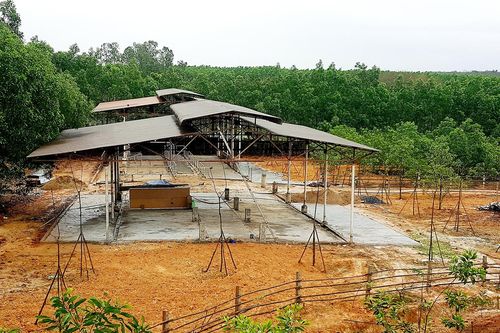 Quảng Trị: Phát hiện thêm sai phạm của Giám đốc Công ty TNHH Giáo dục trải nghiệm Trưng Vương Garden