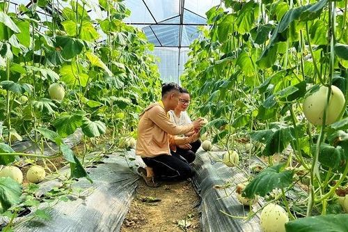Người dân chưa quen ứng dụng công nghệ, chuyển đổi số nông nghiệp gặp khó