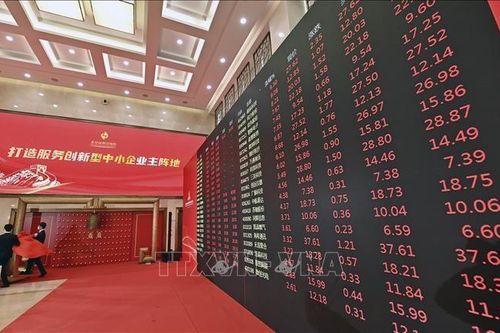 Các nhà đầu cơ chuyên nghiệp quan tâm hơn đến chứng khoán Trung Quốc