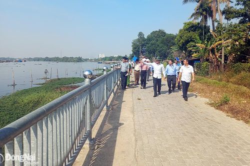 Tập trung công tác giải phóng mặt bằng dự án đường ven sông Cái