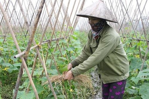 Tam Dương từng bước nâng cao đời sống người dân