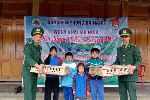 Tặng 3.000 con giống gia cầm cho gia đình học sinh vùng biên giới tỉnh Quảng Trị và Thừa Thiên Huế