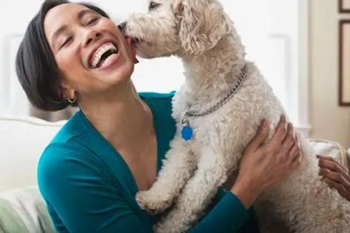 Nuôi thú cưng có lợi cho sức khỏe thể chất và tinh thần