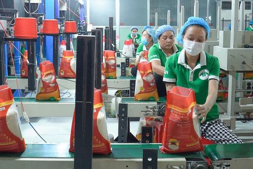 Cơ hội bứt phá xuất khẩu gạo