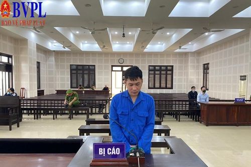 Lập công ty 'ma', nhập khẩu 10 tấn ngà voi, sừng tê giác, xương sư tử... về Việt Nam