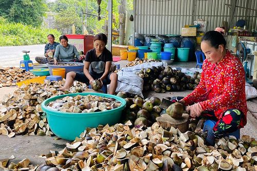 Phong phú sản phẩm từ trái thốt nốt