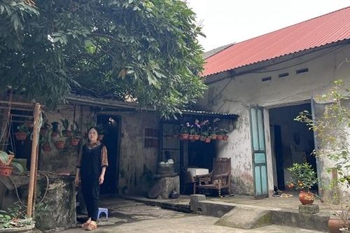 Hà Nội: Người dân trúng đấu giá đất, nhiều năm sau mới biết là đấu giá 'chui'