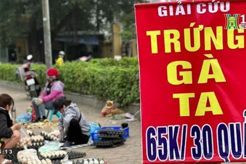 Xung quanh hiện tượng kêu gọi 'giải cứu trứng gia cầm'