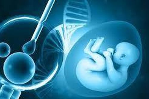 Bệnh viện ở Trung Quốc cấy nhầm phôi thai cho một phụ nữ