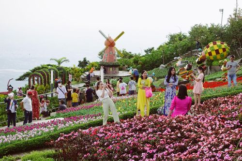 Đến núi Bà Đen để thưởng ngoạn 'thiên đường' hoa rực rỡ