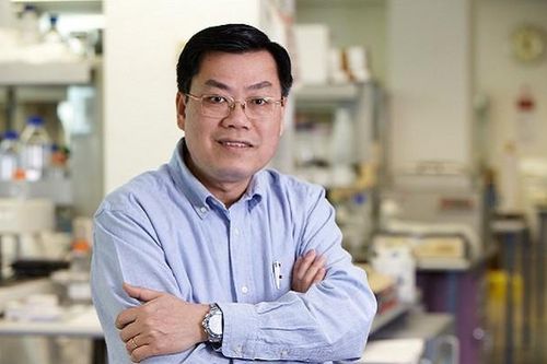 'Chẳng có bảng xếp hạng đại học nào đáng tin cậy'
