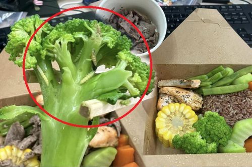 Đặt đồ ăn Healthy, nữ khách hàng 'kinh hồn bạt vía' khi nhận về cả đàn sâu bám đầy rau