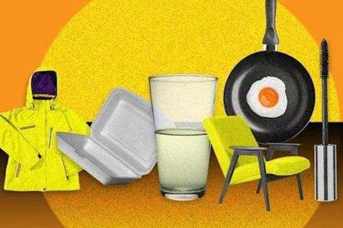 Loại hóa chất có thể gây ung thư, tiểu đường trẻ em hiện diện ở mọi nơi
