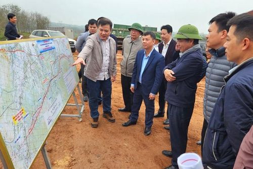 Quảng Bình: Chuyển đổi hơn 257ha rừng để thi công cao tốc Bắc - Nam