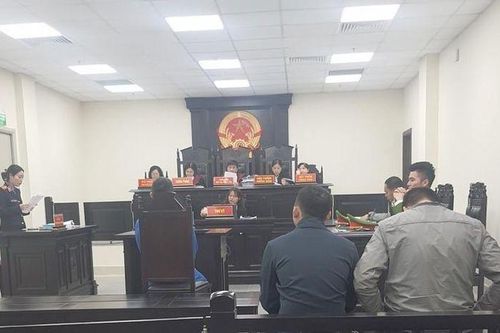 Nam thanh niên vào tù vì chiếm đoạt hơn 19,5 tỷ đồng