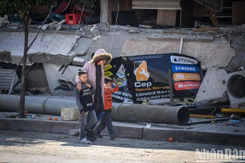 Tường thuật từ tâm chấn: Hatay gượng dậy sau thảm họa