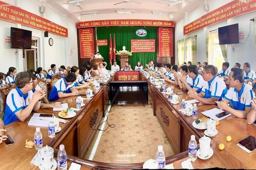 Có một Di Linh tươi mới
