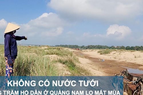 Không có nước tưới, hàng trăm hộ dân ở Quảng Nam lo mất mùa