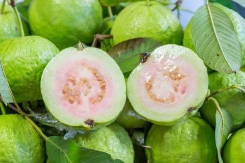 Ăn ổi hỗ trợ điều trị bệnh tiểu đường và có tác dụng giảm cân
