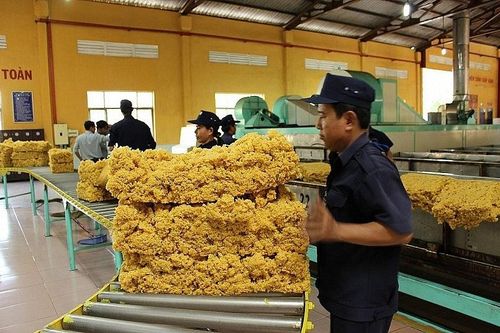 Xuất khẩu cao su sang Hoa Kỳ giảm mạnh trong tháng 1/2023