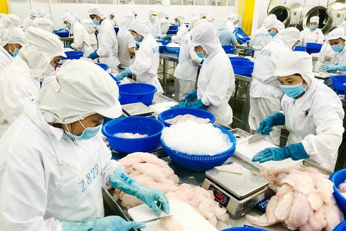 An Giang chuyển hướng tư duy 'kinh tế nông nghiệp'