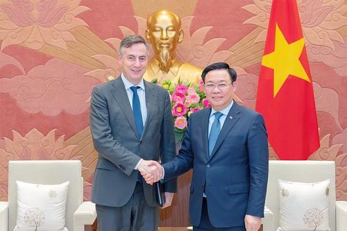 Chủ tịch Ủy ban Đối ngoại của EP: Việt Nam là đối tác đáng tin cậy