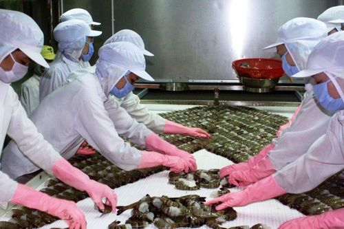 ASEAN là thị trường xuất khẩu thủy sản lớn thứ 4 của Việt Nam